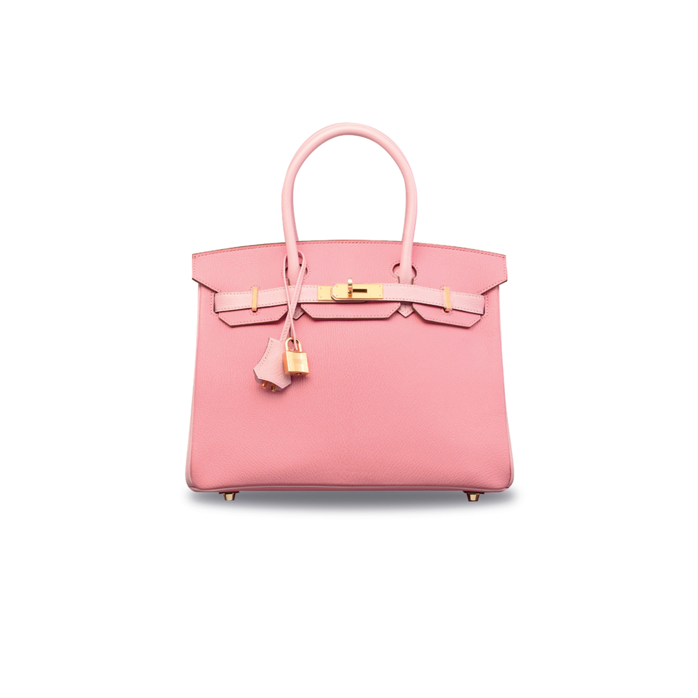 HERMES MASTER BIRKIN 25 TOGO LEATHER MILKSHAKE POWDER AND CHERRY BLOSSOM POWDER GOLD BUCKLE BAG H028365CC03 (25*20*13cm)